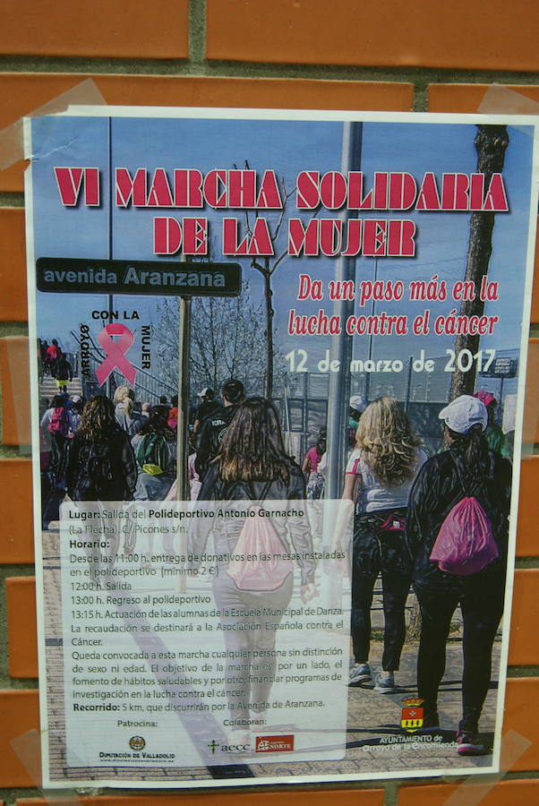 VI Marcha Solidaria contra el Cáncer de Arroyo (2/3)